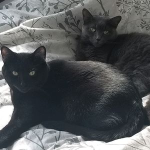 Meet your Posher, Mary